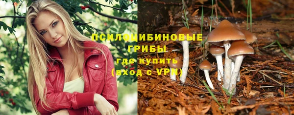 сатива Балахна