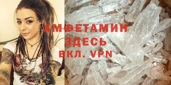сатива Балахна