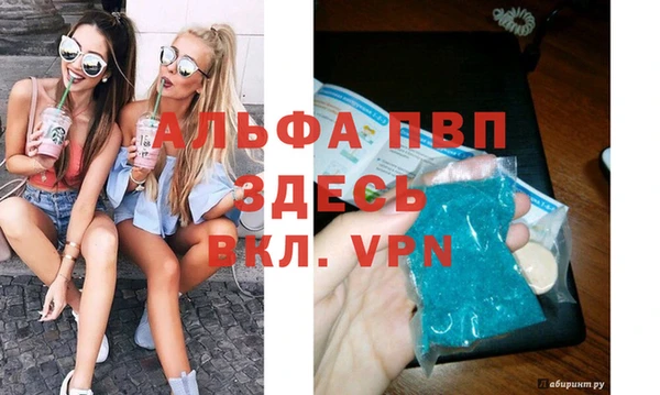 сатива Балахна