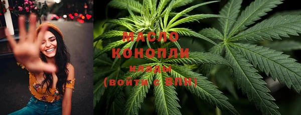 сатива Балахна