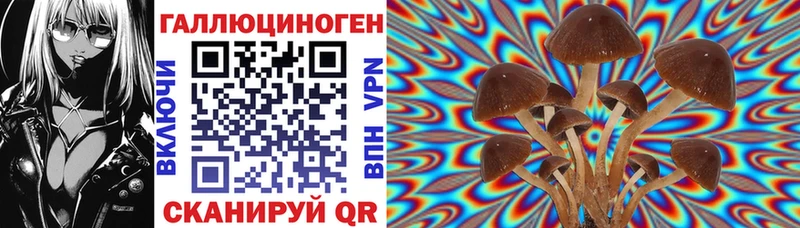 Псилоцибиновые грибы Cubensis  мега ONION  Губаха 